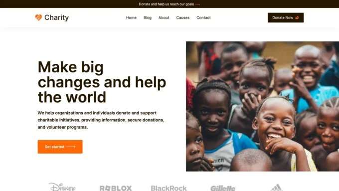 WordPress Non-Profit Platform Project