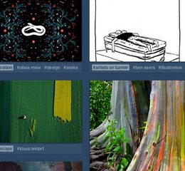 11 killer tips for a successful Tumblr blog