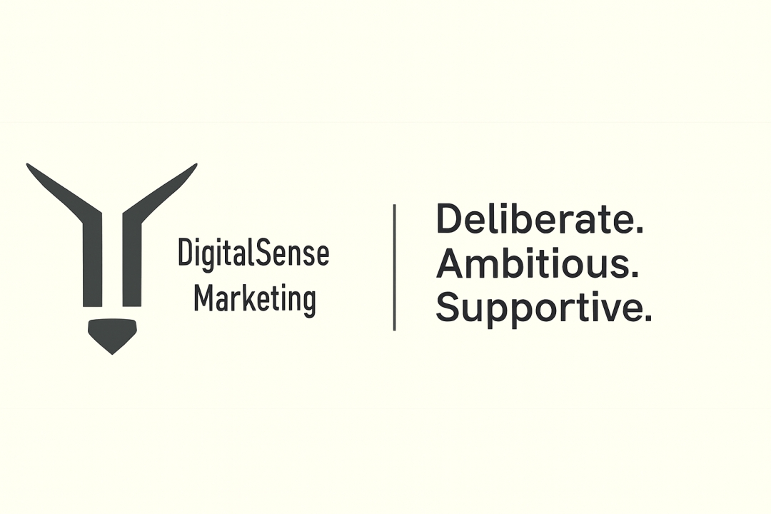 DigitalSense Marketing logo