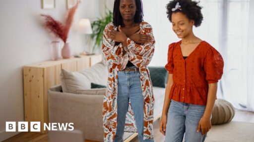 TikTok jumps on online shopping bandwagon