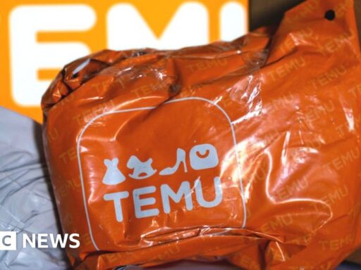 How Temu is shaking up the world of online shopping