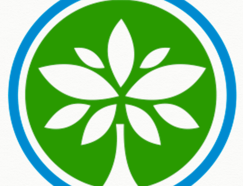 86. How to Create Donor-Friendly Case Studies in Solar Projects