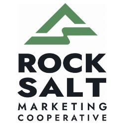 Rock Salt Marketing Appoints Spencer Bierman as New SEO Director