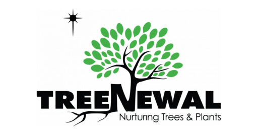 TreeNewal Unveils New Logo and Website, Enabling New Growth