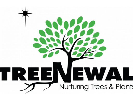 TreeNewal Unveils New Logo and Website, Enabling New Growth
