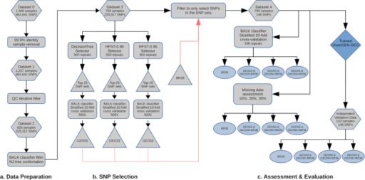 A molecular barcode and web-based data analysis tool to identify imported Plasmodium vivax malaria
