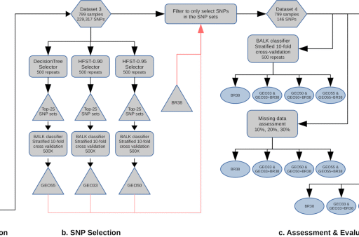 A molecular barcode and web-based data analysis tool to identify imported Plasmodium vivax malaria