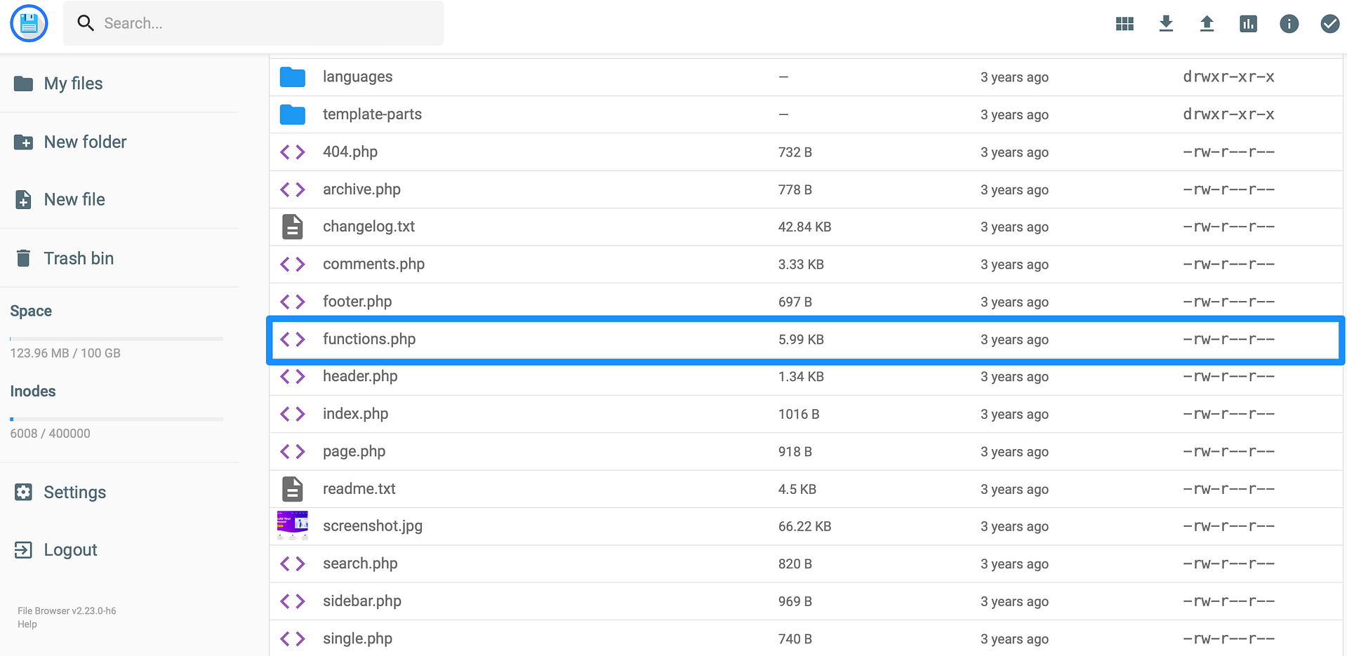 Locate the functions.php file
