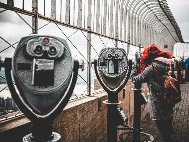 AI and the Future of Search Optimization