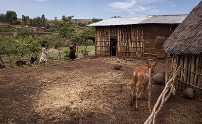 The Grand Ethiopian Renaissance Dam is designed to trap 100 years of sediment inflowEthiopia