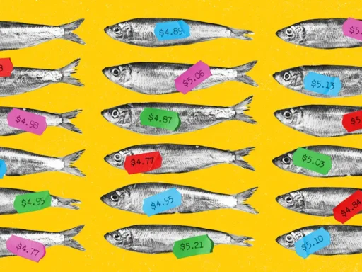 Paralyzed by Choice: the Golden Age of Online Shopping Is Over