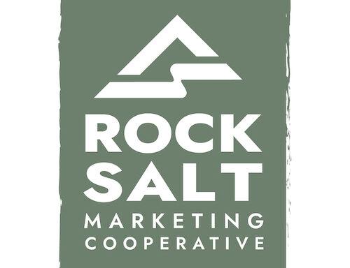 Rock Salt Marketing Launches AI SEO Service for the Firearm Industry