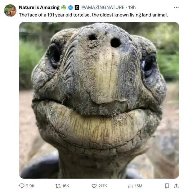 twitter-card-example