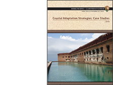 Coastal Adaptation Strategies: Case Studies
