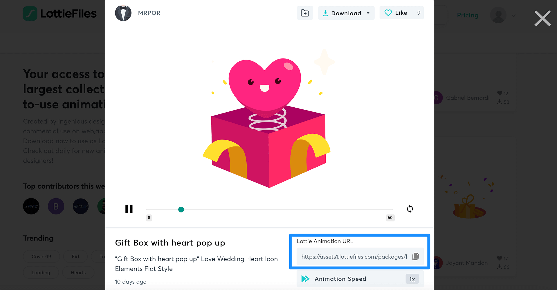 The Lottie Animation URL