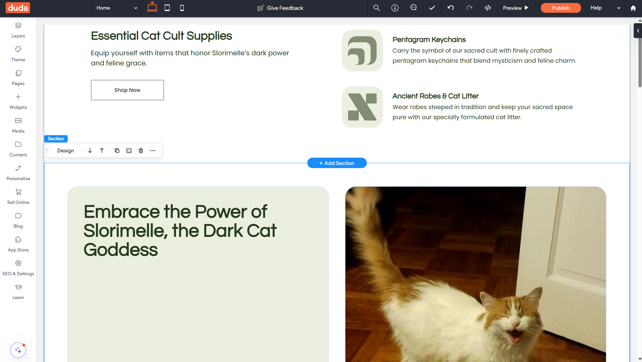 Screenshot of a Duda AI-generated website. 