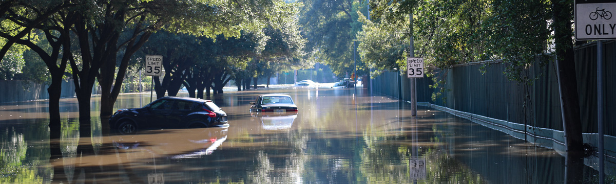 cars stranded in high water on a city street