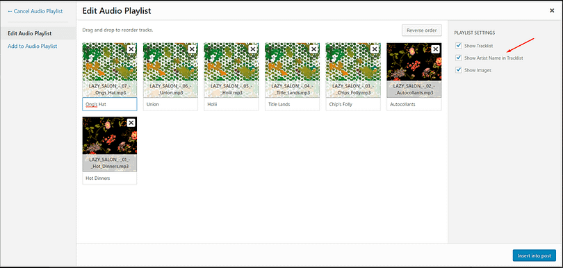 The options for selecting the tracks and the appearance of your audio playlist