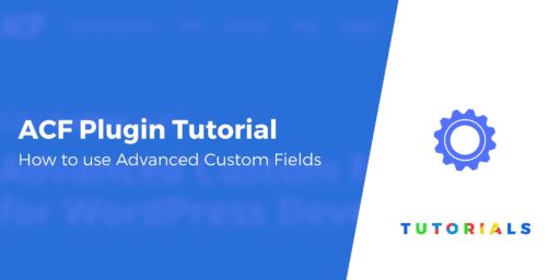Advanced Custom Fields Tutorial for Beginners: Create and Display Fields