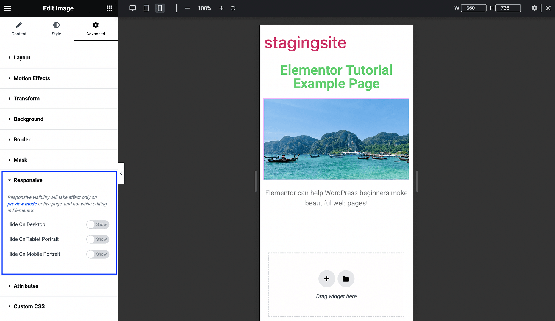Elementor widget's responsive settings.