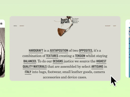 12 Best Website Design Examples for Ecommerce Inspiration (2024)