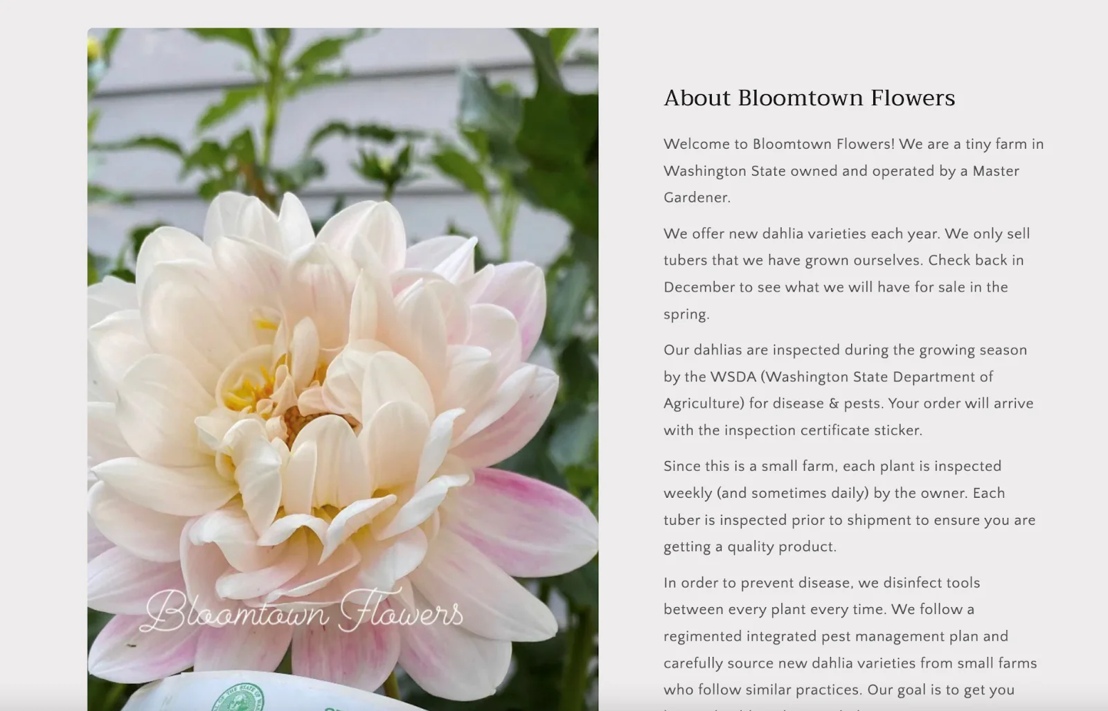 Bloomtown Flowers uses multiple columns to display information.