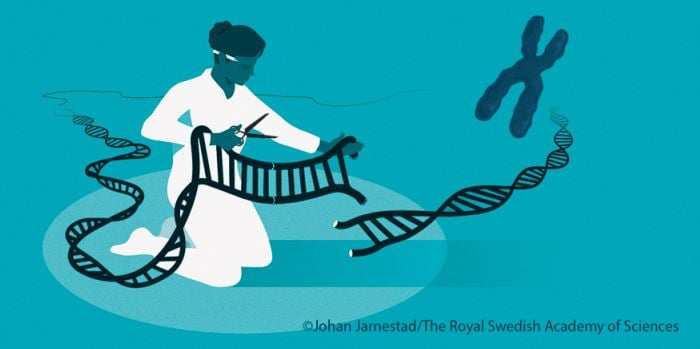 Press release: The Nobel Prize in Chemistry 2020