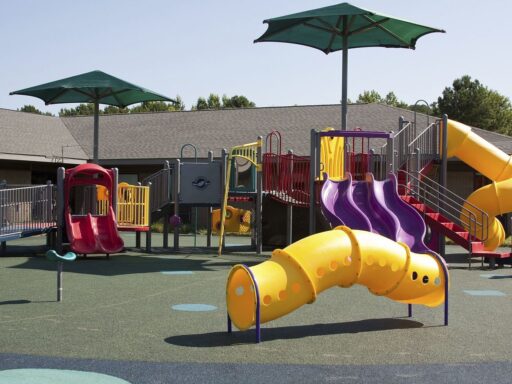 Learn How to Use WordPress Playground – WP Tavern