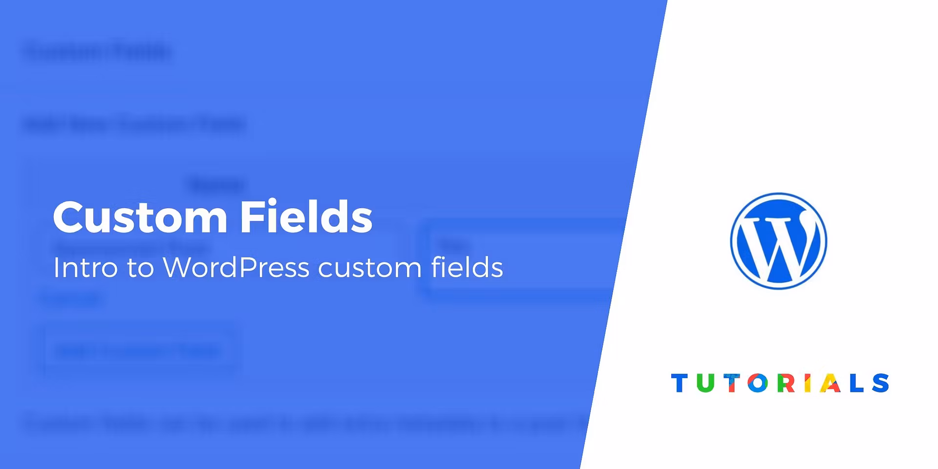 Beginner's Guide to Custom Fields in WordPress: Explanation + Tutorial