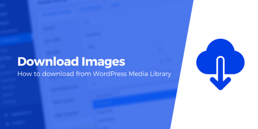 How to Download Images From WordPress Media Library: 3 Ways