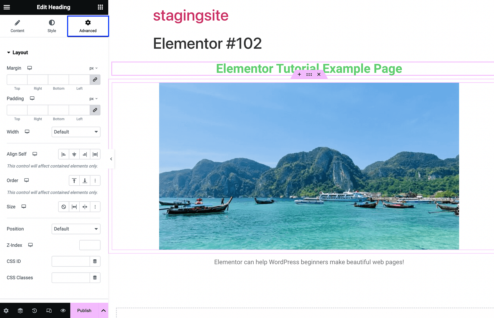 Opening advanced widget settings in Elementor.