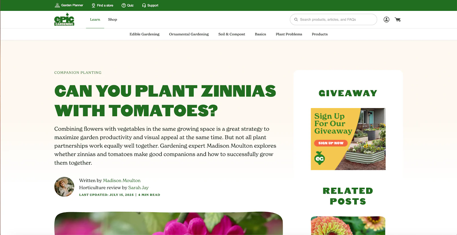 Epic Gardening blog post about companion planting.