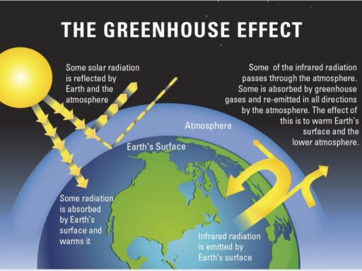 Climate change: evidence and causes