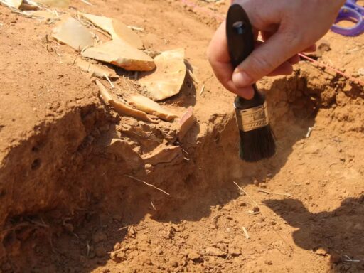 We found a cache of rare Aboriginal artefacts, telling a story of trade and ingenuity