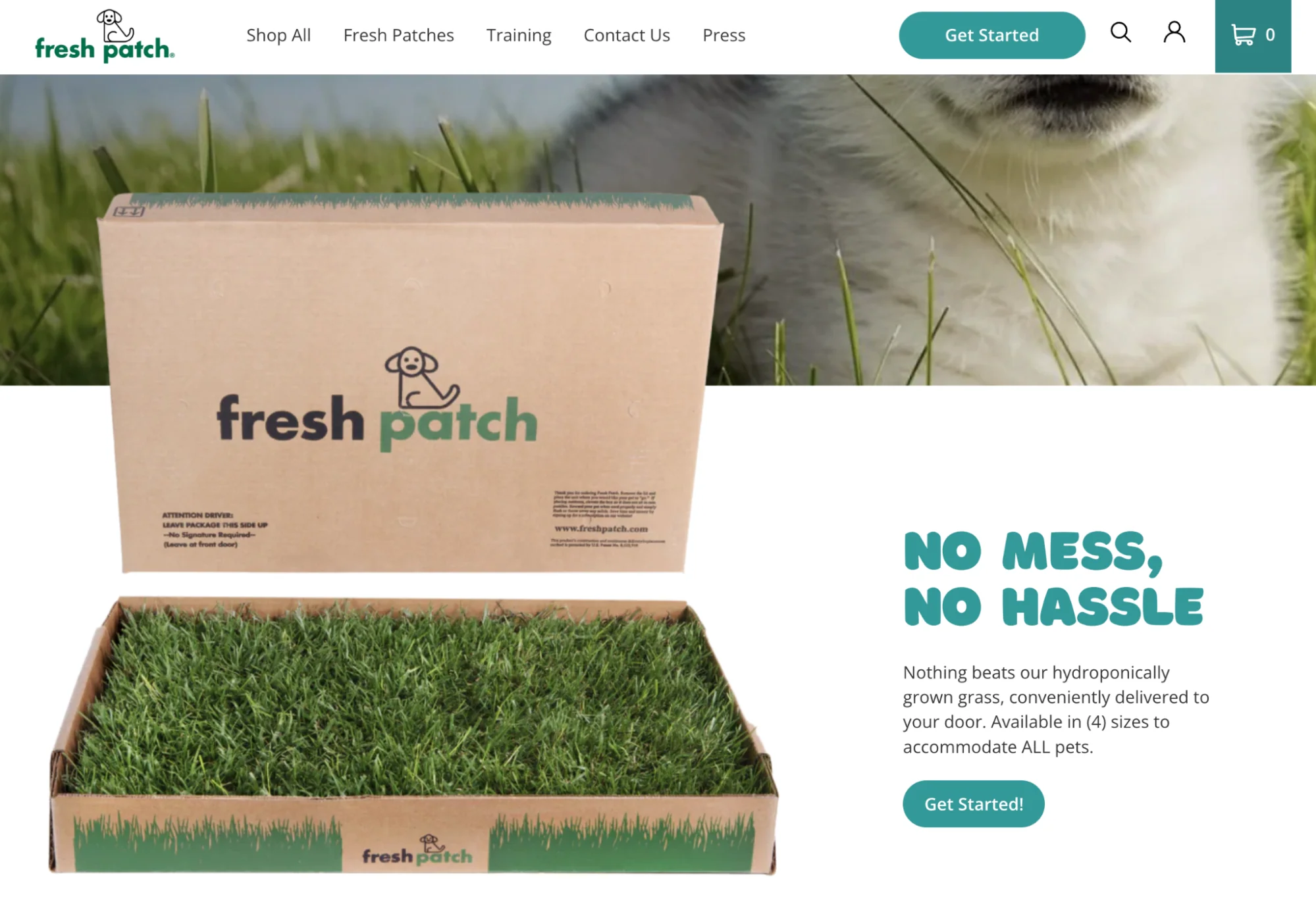 Homepage for a subscription service that sells grass patches for pet owners.