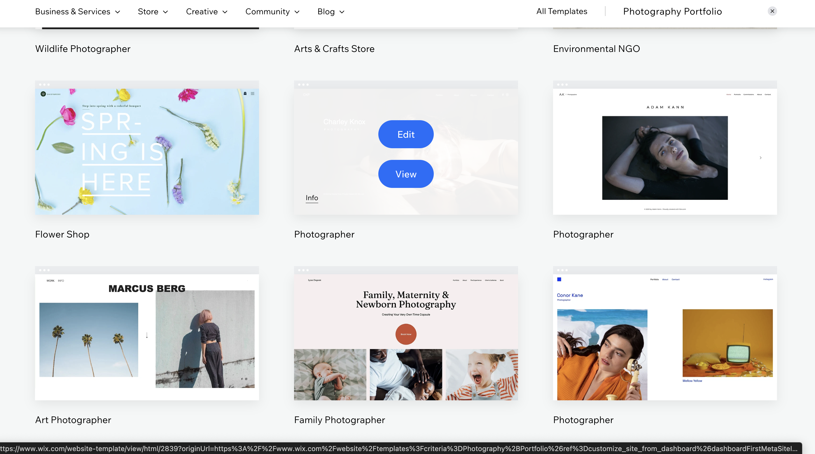 Screengrab showing edit button appearing over a a specific Wix template