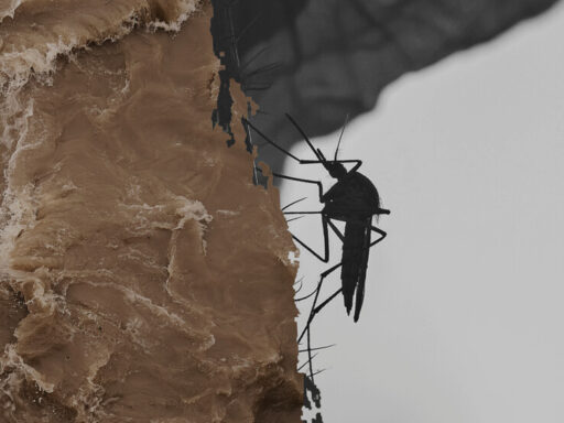 Landscape mapping of software tools for climate-sensitive infectious disease modelling