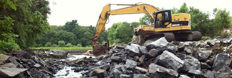 large-image-dam-removal-case-studies