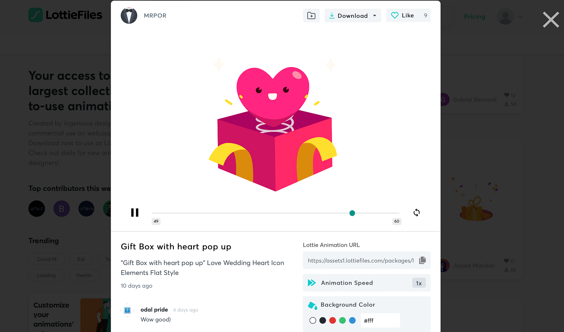 Customizing your Lottie Animation 
