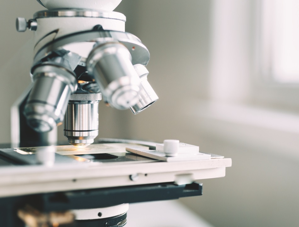 Partnership Grants | Royal Society