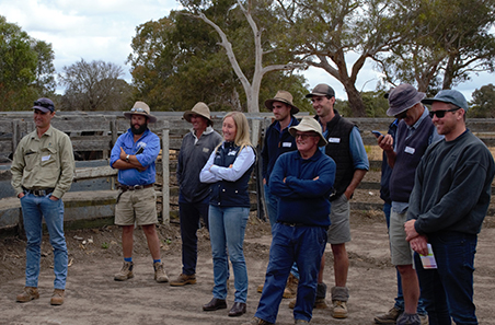 Producer demonstration sites | Meat & Livestock Australia