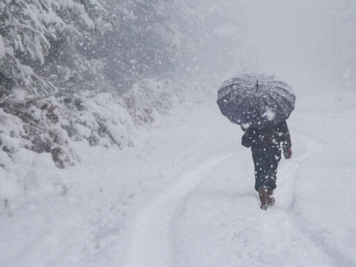 Get your snow smarts on: 9 forecast tools you can use