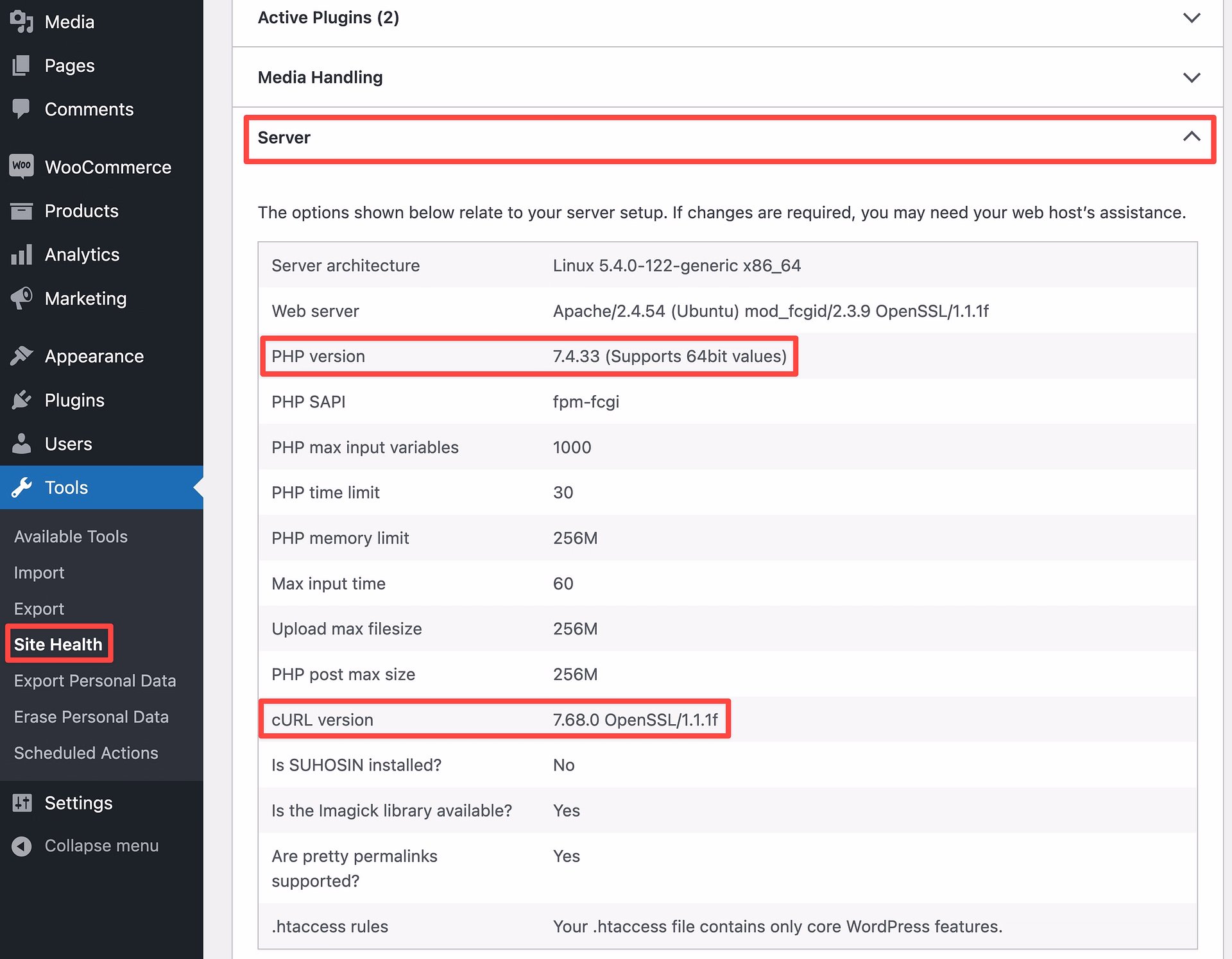 checking php and curl version in wp-admin