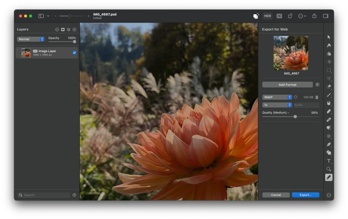 Pixelmator Pro exporting WebP image