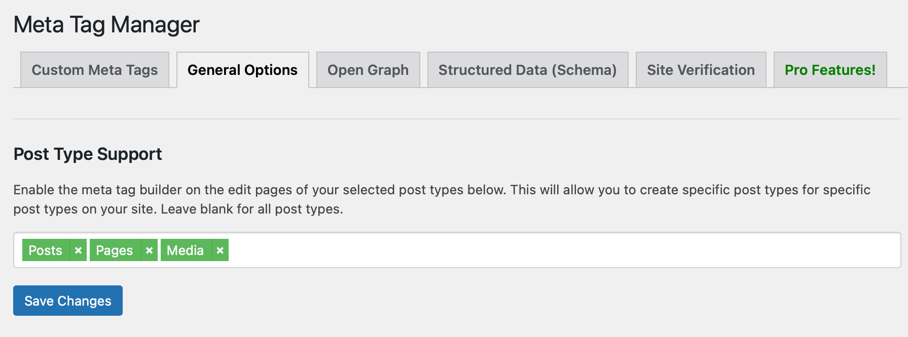 Meta Tag Manager post type support.