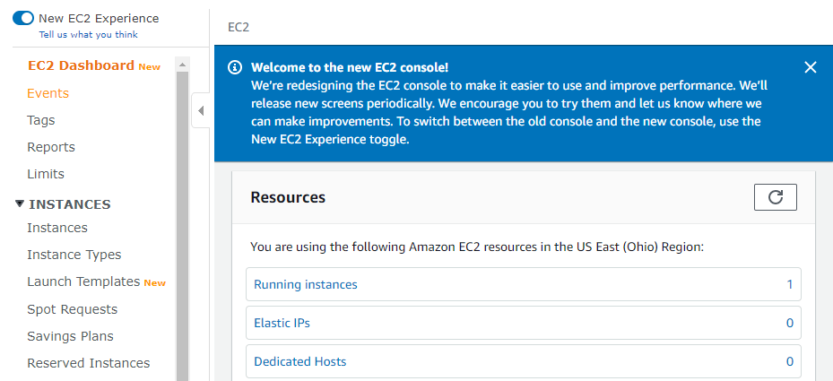 Accessing your running instances.