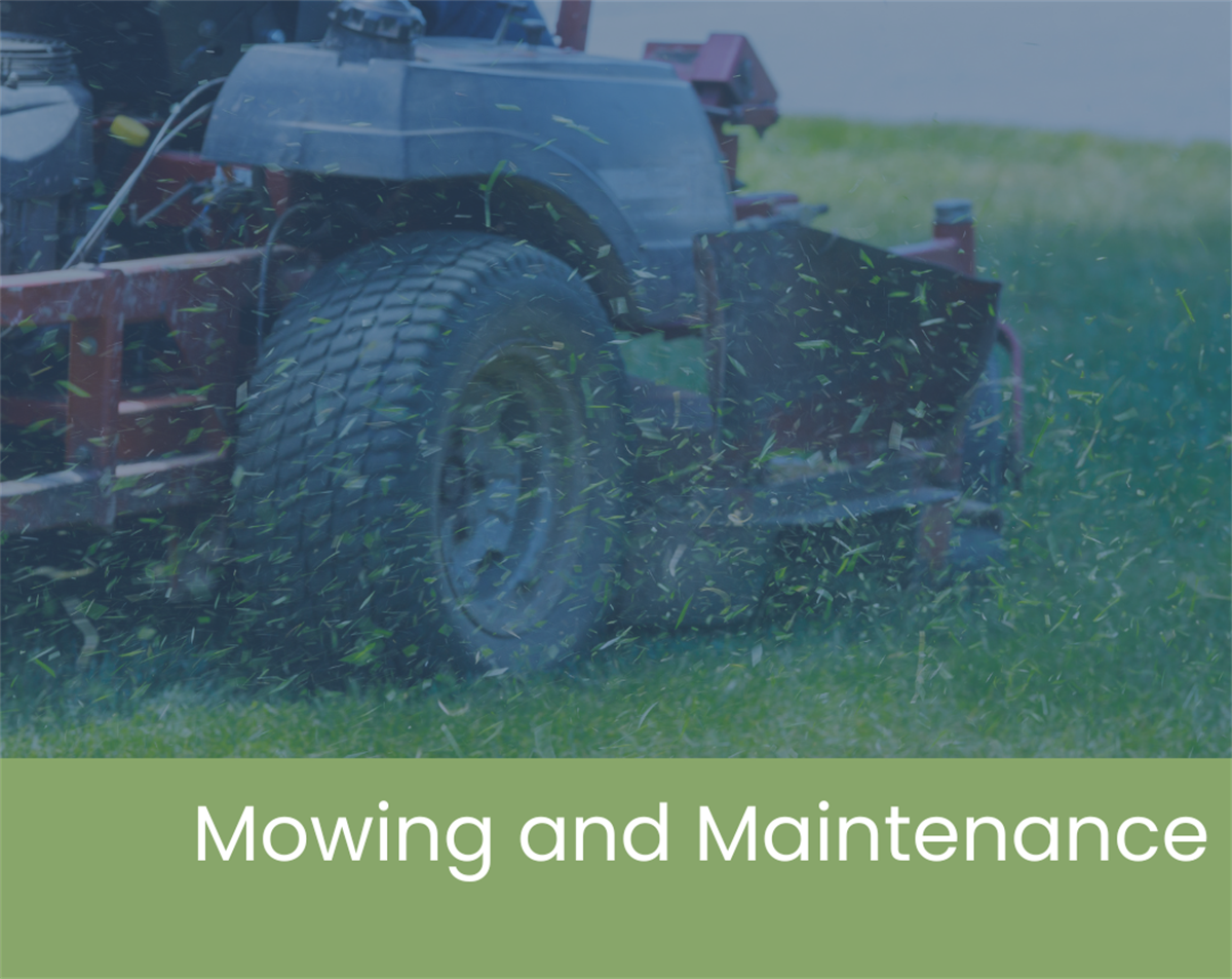 Mowing and Maintenance – Welcome to the City of Fort Worth