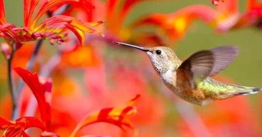 6 Free Tools to Score Comprehensive, Quality Pages