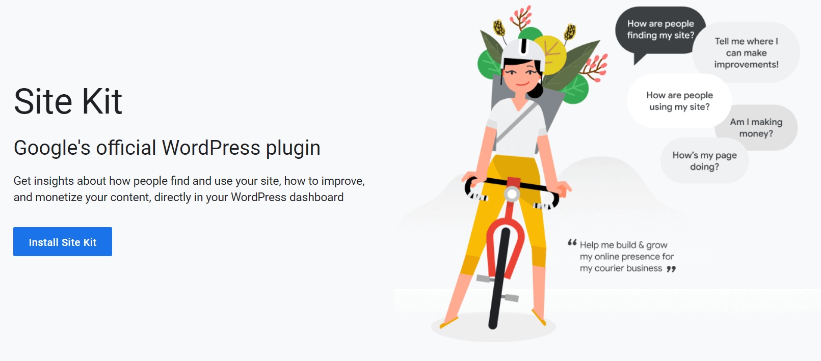 The Google Site Kit for WordPress plugin.