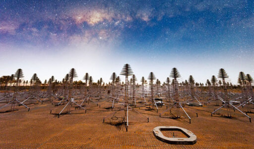 The SKA project in Australia